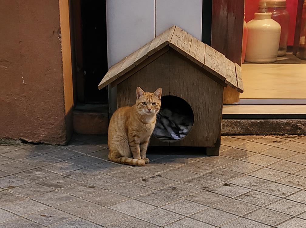 Het huisje van Misty in Constanța