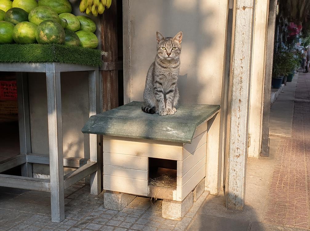 Het huisje van Pino in Chiang Mai